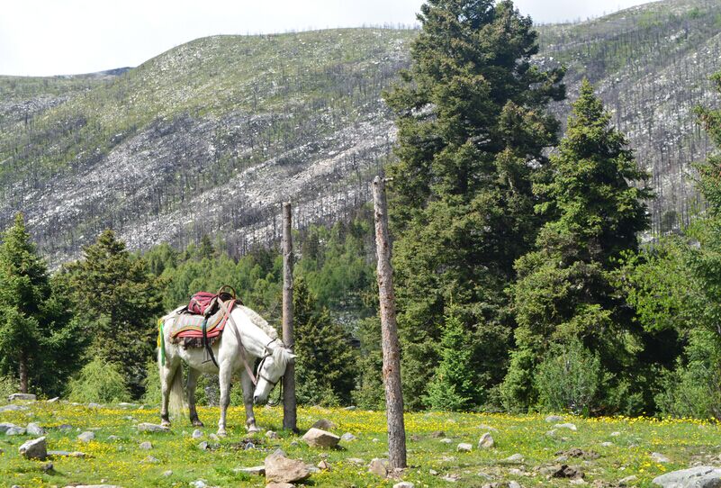 “樂翻天”----2015瑞方的康定行 第12張 “樂翻天”----2015瑞方的康定行 第12張