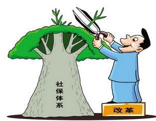 個人繳納社保和公司繳納的社保有何不同？ 第1張