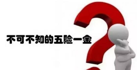 五險一金好還是社保好？ 第1張