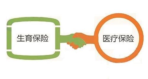 生育保險(xiǎn)與醫(yī)療保險(xiǎn)的聯(lián)系與區(qū)別 第1張 生育保險(xiǎn)與醫(yī)療保險(xiǎn)的聯(lián)系與區(qū)別 第1張