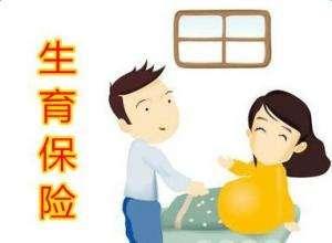 職工參加生育保險(xiǎn)可以享受哪些待遇? 第1張 職工參加生育保險(xiǎn)可以享受哪些待遇? 第1張